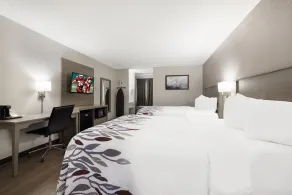 Red Roof Inn Weedsport - Chambre