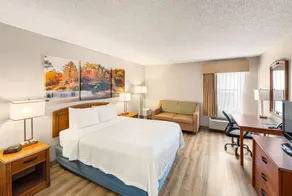 Days Inn by Wyndham Raleigh-Airport-Research Triangle Park - Chambre