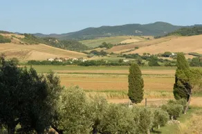 Locanda Villa Naumanni  - Utsikt från rummet