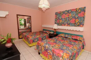 Verney House Resort - Habitación