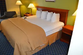 Quality Inn Savannah Midtown - Chambre