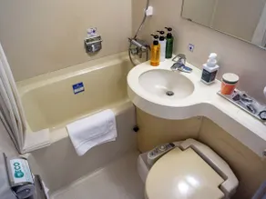APA Hotel Kochi - Badezimmer