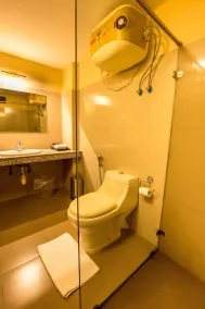 Mount Himalayan Hotel - Bathroom