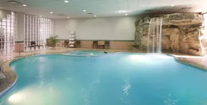 Embassy Suites by Hilton Detroit Livonia Novi - Piscine