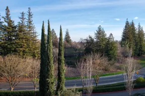 The Westin Sacramento Riverfront Hotel & Spa - Vue de la chambre