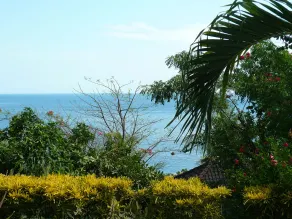 Anda Amed Resort - Vue de la chambre