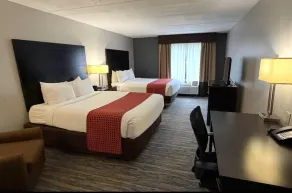 Comfort Inn & Suites Tampa North I-75 - Værelse