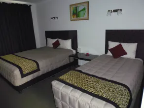 Burke & Wills Motor Inn - Room