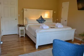 Salish B&B and Spa - Chambre