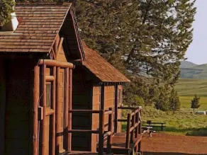 Roosevelt Lodge & Cabins - Inside the Park - Utsikt från rummet