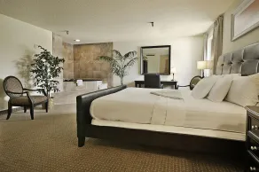 Ramada by Wyndham Bettendorf - Chambre