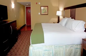 Holiday Inn Express Hotel & Suites Chaffee - Jacksonville West by IHG - Room