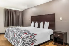 Red Roof Inn North Dallas - Park Central - Room