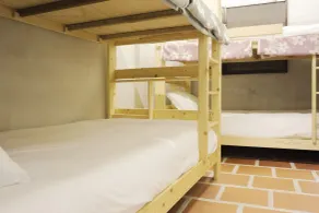 Horseshoe Crab Cottage - Hostel - Room