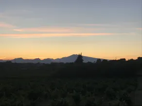 Chambres d'Hôtes et Gîtes Le Mas Mellou - Vista dalla camera