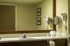 Comfort Suites Miami - Kendall - Salle de bain