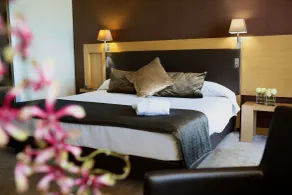 Gran Palas Hotel - Spa incluido - Chambre