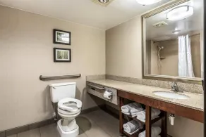 Comfort Inn Lansing West - Salle de bain
