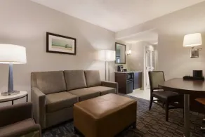 Embassy Suites by Hilton Jacksonville Baymeadows - Room