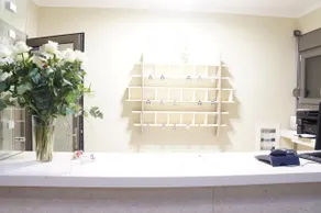 Vellum Luxury Living - Resepsjon
