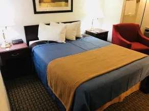 BA Hotel - Vue de la chambre