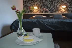 Hotel Peregrin - Chambre
