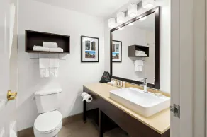 Country Inn & Suites by Radisson, Columbia Airport, SC - Salle de bain
