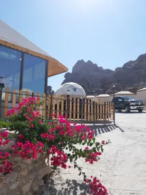 The Rock Camp Petra - Reception