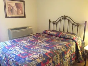 All Suites Inn Budget Host - Room