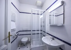 Sibelius Apartments Prague - Art Nouveau Residence 1902 - Bagno