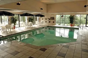 Hampton Inn Rockford - Piscine