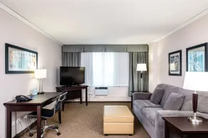 Campus Tower Suite Hotel - Rum