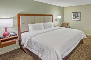 Hampton Inn Savannah-I-95-North - Chambre