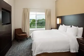 Residence Inn by Marriott Detroit Farmington Hills - Chambre