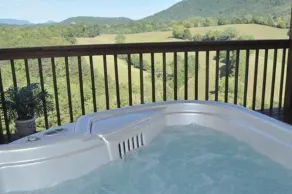 Berry Springs Lodge - Vue de la chambre