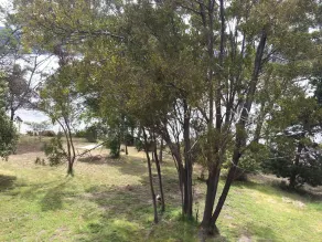 Tranquil Point - Vistas desde la habitación