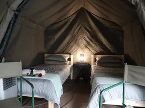 Kruger Park Tours - Rom