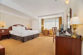 Hotel Aro Palace - Room