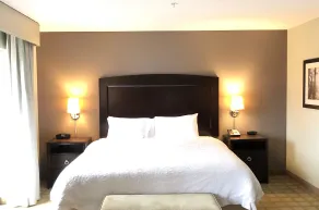 Hampton Inn & Suites Detroit-Canton - Chambre