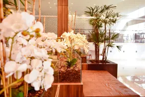 Forte Express - Reception