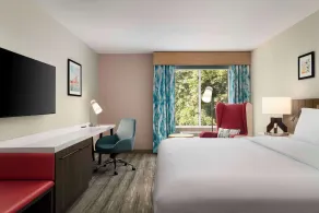Hilton Garden Inn Kennett Square - Chambre