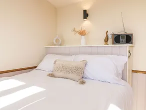 Buzzards - Room
