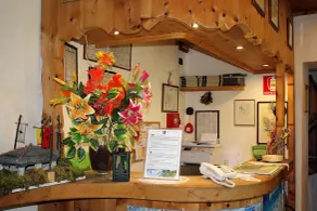 Hotel Villa Rina - Reception