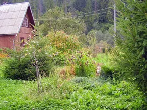 Green tourism - Garden