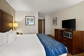 Comfort Inn Lacey - Olympia - Chambre