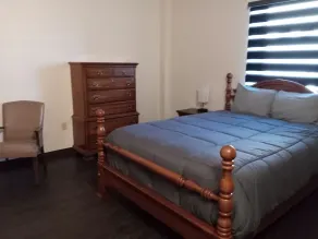 Rochester Hotel - Room