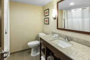 Comfort Inn & Suites Knoxville West - Salle de bain