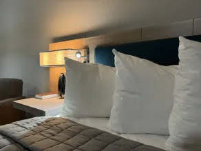 Park Inn by Radisson Maryville - Room
