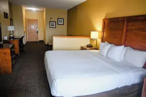 Comfort Inn Owatonna near Medical Center - Zimmer