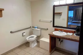 Econo Lodge Edmonds North Seattle - Bathroom